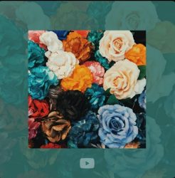 Download A batida do Nordeste - YouTube Music (2021) [Mp3] via Torrent